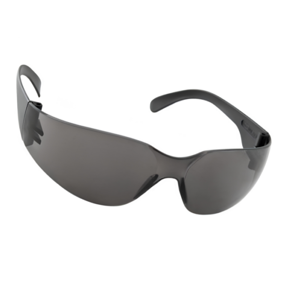OCULOS AGUIA FUME DANNY - CA 15298