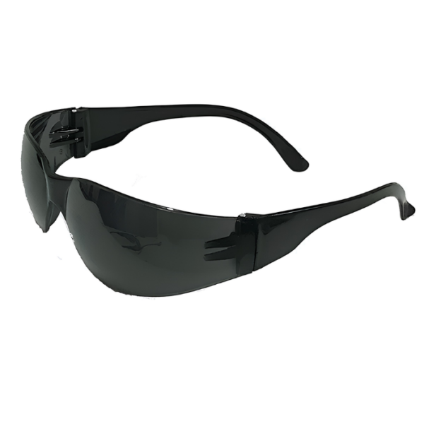 OCULOS AGUIA FUME DANNY - CA 15298