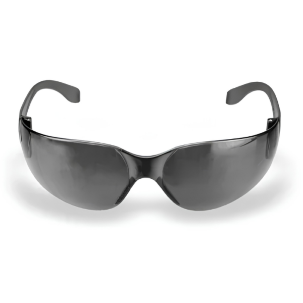 OCULOS AGUIA FUME DANNY - CA 15298